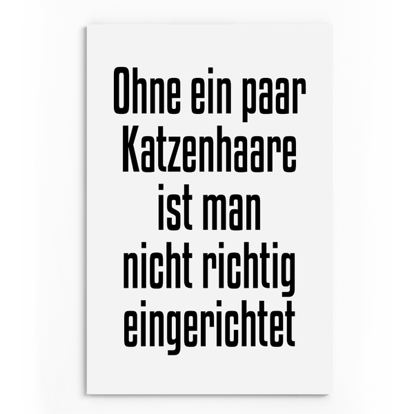 Katzenhaare | Wandbild | White Edition - MegaCat