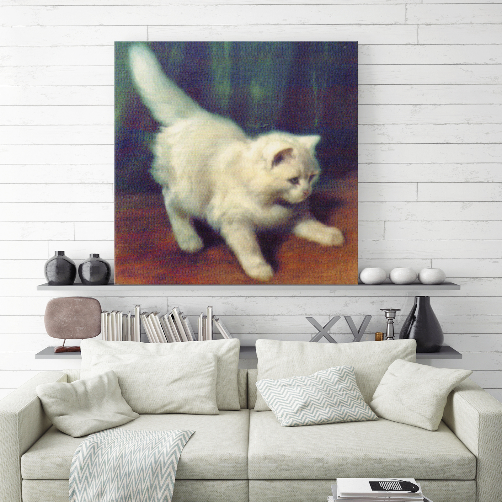 Fine Art | Junge Angorakatze | Kunstdruck auf Leinwand - MegaCat