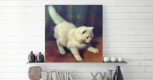 Fine Art | Junge Angorakatze | Kunstdruck auf Leinwand - MegaCat