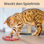 Laden Sie das Bild in den Galerie-Viewer, Interaktives Katzenspielzeug Schlange | Die kleine Schlange Korallie - MegaCat
