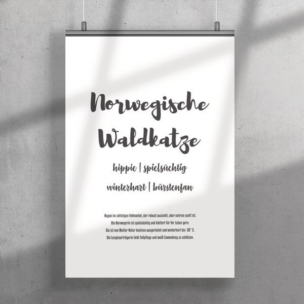 Norwegische Waldkatze | Premium Poster - MegaCat