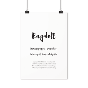 Ragdoll | Premium Poster - MegaCat